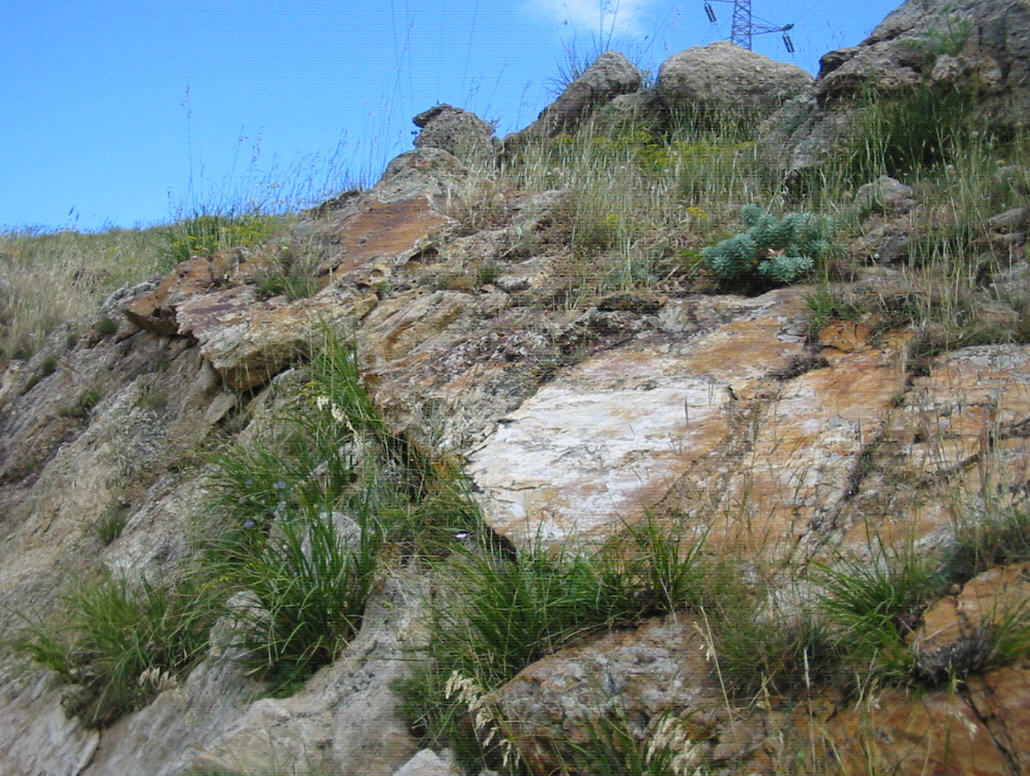 Faglia